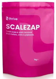 Thrive Scalezap 360 Foaming Descaler