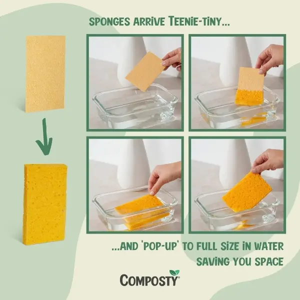 composty-magic-pop-up-sponges-12-multipack-931035-1024x10242x_600x600.webp