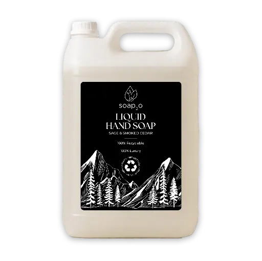 [S2OGHS5LSC] Soap2O Gel Hand Soap Sage & Smoked Cedar 5L